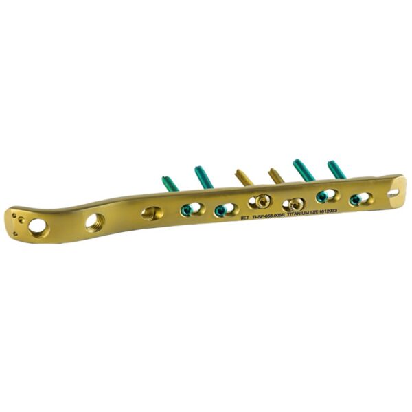 Placa-de-Bloqueo-para-Femur-Proximal-4.5mm-5.0mm-7.3mm-Titanio-2.jpeg Placa de Bloqueo para Fémur Proximal 4.5mm 5.0mm 7.3mm Titanio