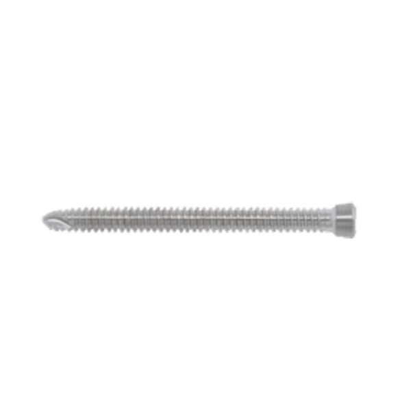 Tornillo-de-Bloqueo-de-Angulo-Variable-2.4-mm-Star-Like-2.jpeg Tornillo de Bloqueo de Ángulo Variable 2.4 mm (Star Like)