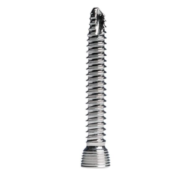 Tornillo-de-Bloqueo-de-Angulo-Variable-2.4-mm-Star-Like-3.jpeg Tornillo de Bloqueo de Ángulo Variable 2.4 mm (Star Like)