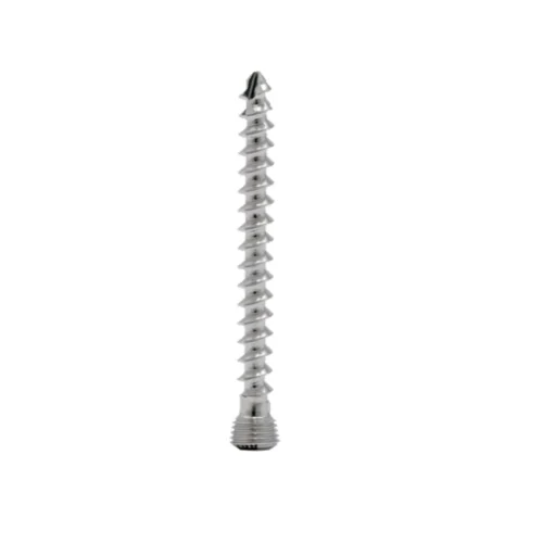 Tornillo-de-Bloqueo-de-Esponjosa-3.5-mm-Autorroscante-01.webp Tornillo de Bloqueo de Esponjosa 3.5 mm Autorroscante