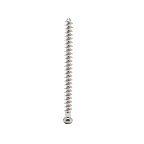 Tornillo-de-Esponjosa-6.5-mm-Rosca-Total-02.webp Tornillo de Esponjosa 6.5 mm Rosca Total