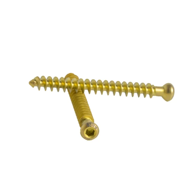 Tornillo-de-Esponjosa-6.5-mm-Rosca-Total-Titanio-01.webp Tornillo de Esponjosa 6.5 mm Rosca Total Titanio