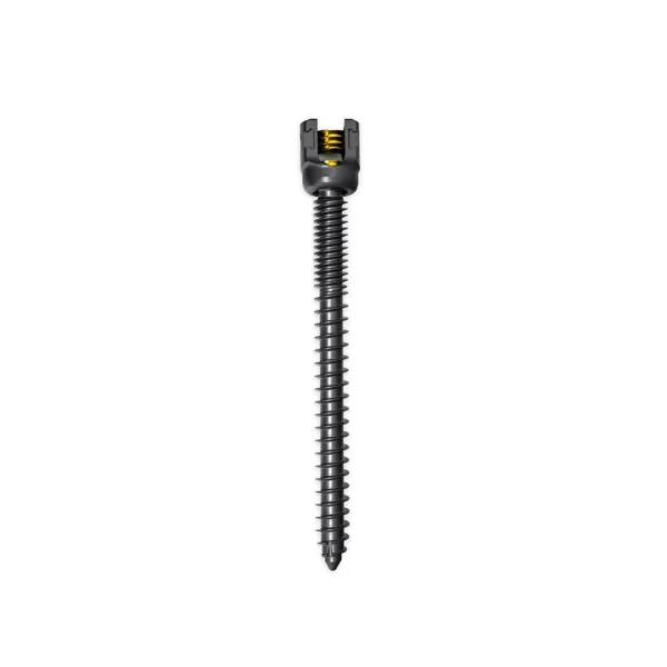 tornillo-sacroiliaco-poliaxial-7-5-mm-para-fijacion-sacroili-01.webp Tornillo sacroilíaco poliaxial 7.5 mm para fijación sacroilíaca en cirugía de columna