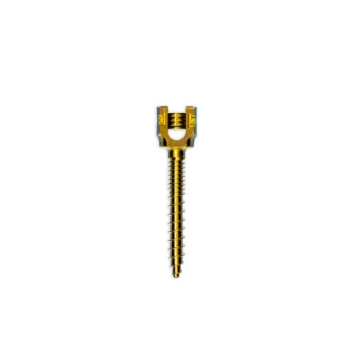 tornillo-transpedicular-monoaxial-toracolumbar-5-5-mm-de-dob-01.webp Tornillo transpedicular monoaxial toracolumbar 5.5 mm de doble rosca para fijación espinal