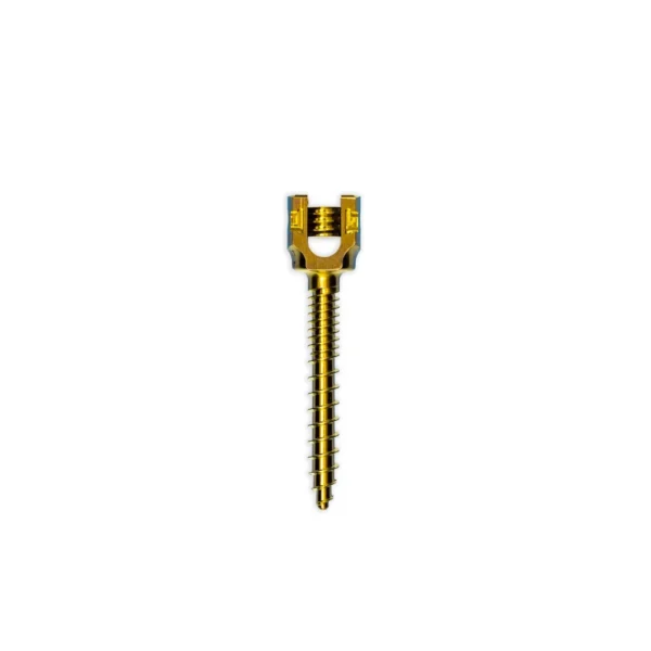 tornillo-transpedicular-monoaxial-toracolumbar-5-5-mm-de-dob-01.webp Tornillo transpedicular monoaxial toracolumbar 5.5 mm de doble rosca para fijación espinal
