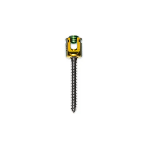 tornillo-transpedicular-poliaxial-toracolumbar-5-5-mm-de-ros-01.webp Tornillo transpedicular poliaxial toracolumbar 5.5 mm de rosca continua para cirugía de columna