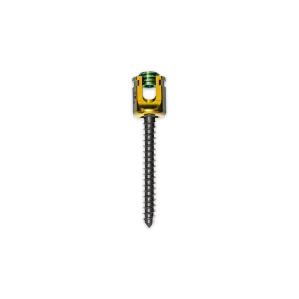 tornillo-transpedicular-poliaxial-toracolumbar-5-5-mm-de-ros-01.webp Tornillo transpedicular poliaxial toracolumbar 5.5 mm de rosca continua para cirugía de columna