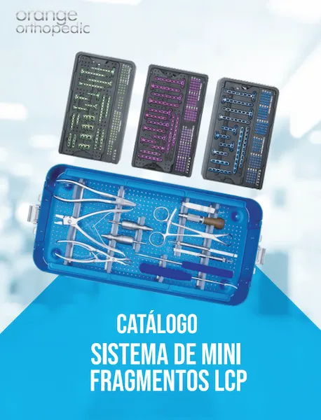 Sistema de Mini Fragmentos LCP